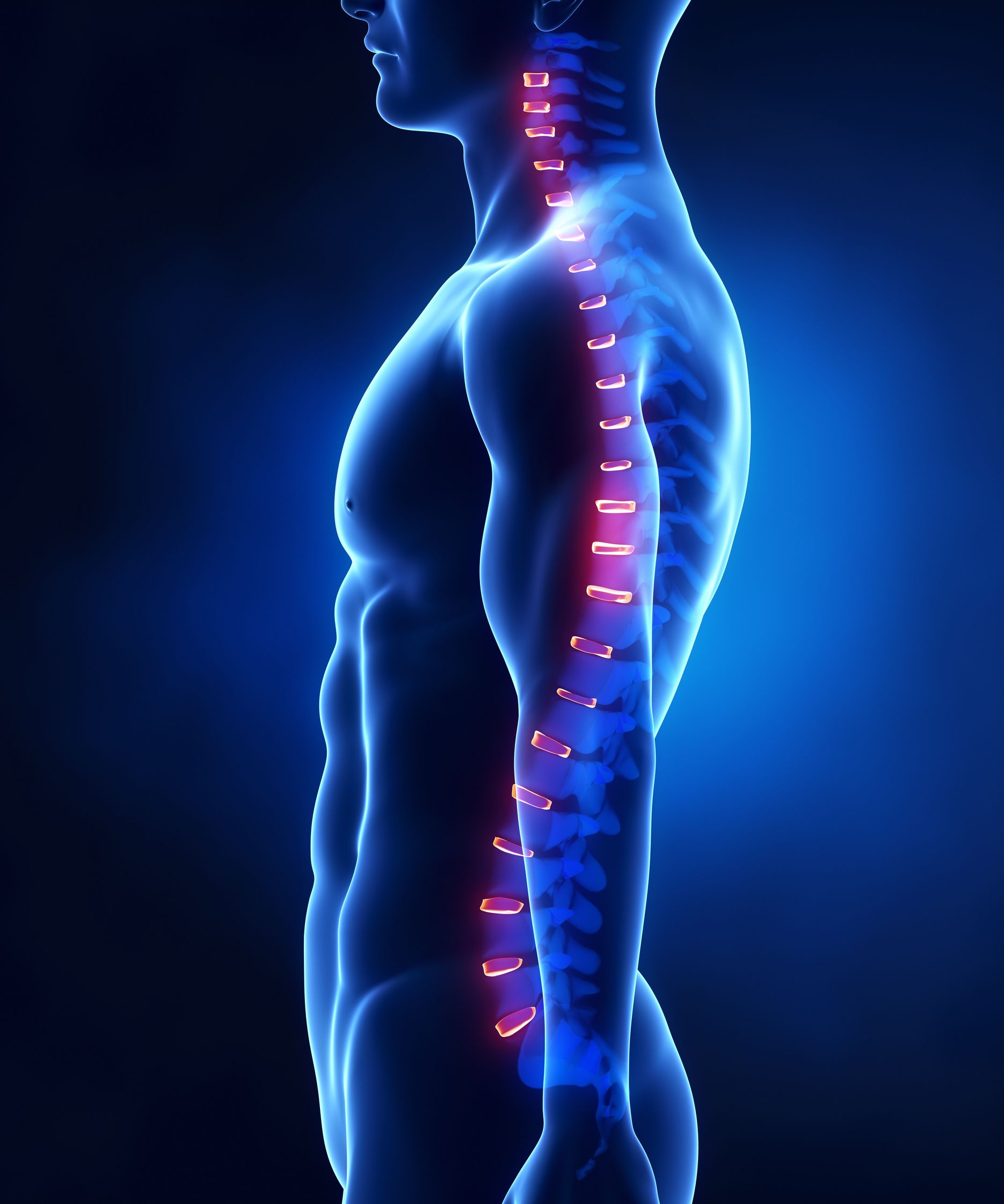Looking for a Chiropractor in Chicago ?