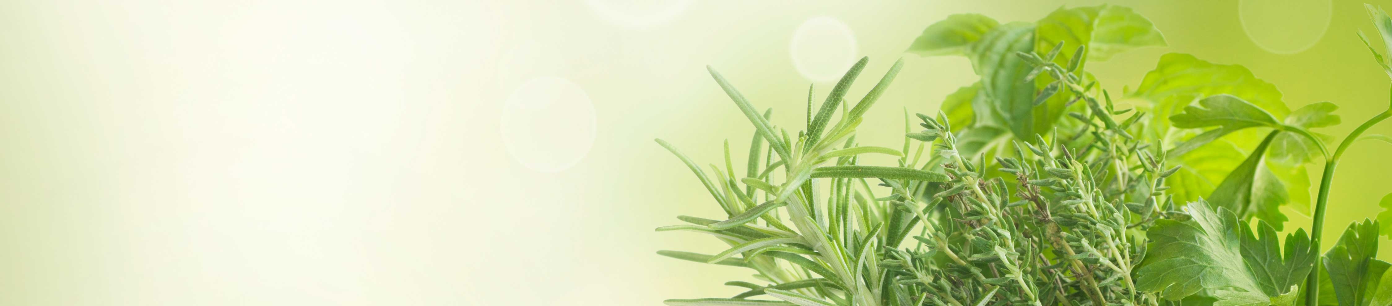 3 Practical Reasons to Take Nutritional Supplements