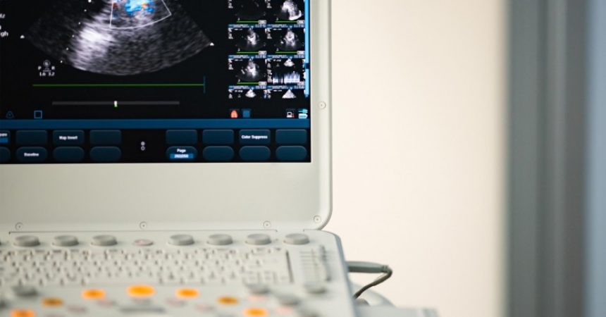 Portable Veterinary Ultrasound Benefits for Veterinary Practices