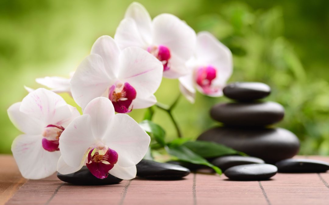 Transform Your Mindset With Alignment Coaching For Personal Growth, Redmond, WA Solutions